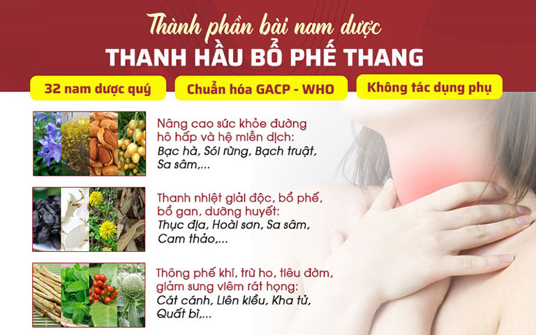 Thành phần chính của bài thuốc Thanh hầu bổ phế thang