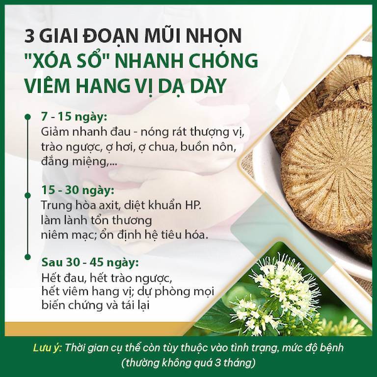 Lộ trình Sơ can Bình vị tán xử lý viêm hang vị dạ dày