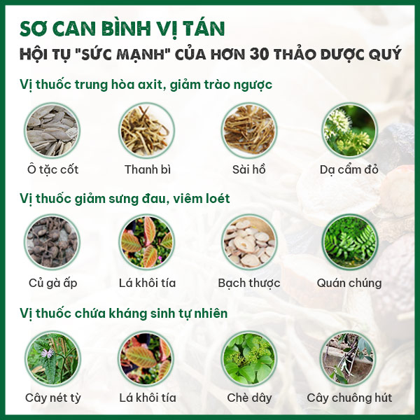 Thảo dược tiêu biểu có trong từng nhóm thuốc