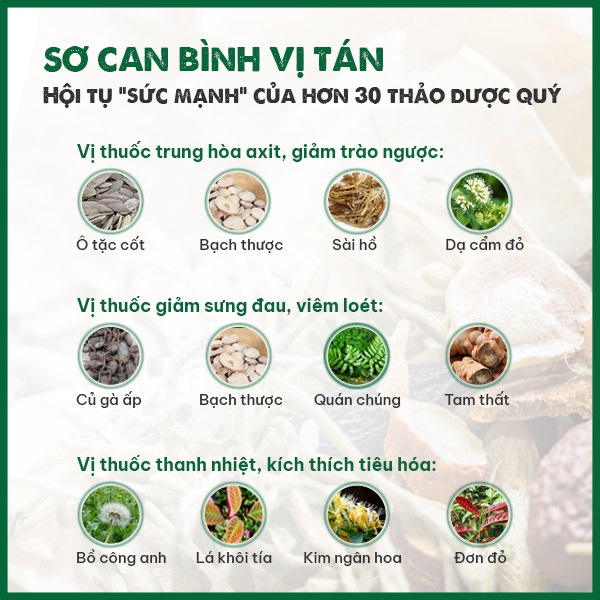 Bảng thành phần dược liệu có trong bài thuốc Sơ can Bình vị tán