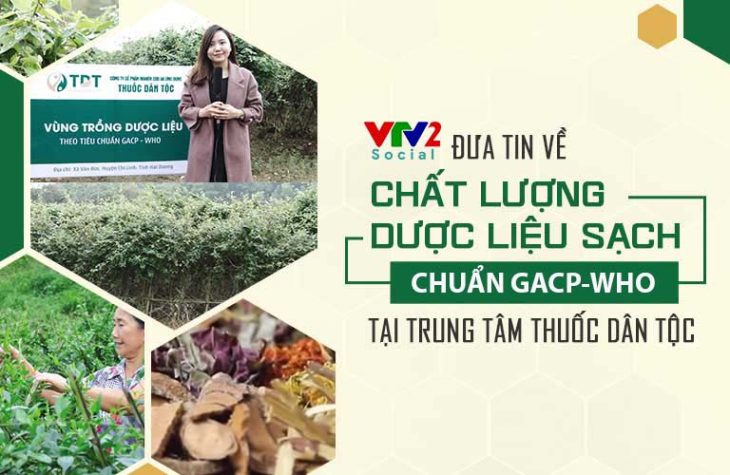 Sơ can Bình vị tán đảm bảo lành tính với mọi đối tượng bệnh nhờ sử dụng nguồn thảo dược sạch, chất lượng cao